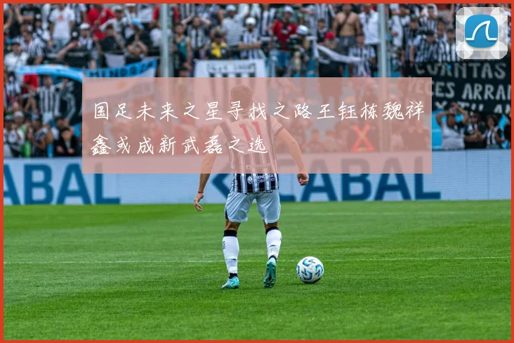 国足未来之星寻找之路王钰栋魏祥鑫或成新武磊之选