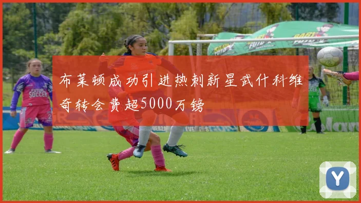 布莱顿成功引进热刺新星武什科维奇转会费超5000万镑