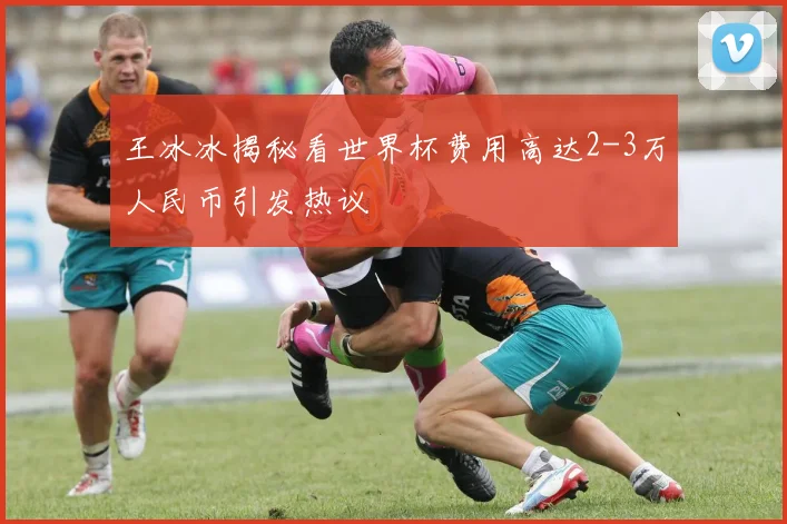 王冰冰揭秘看世界杯费用高达2-3万人民币引发热议